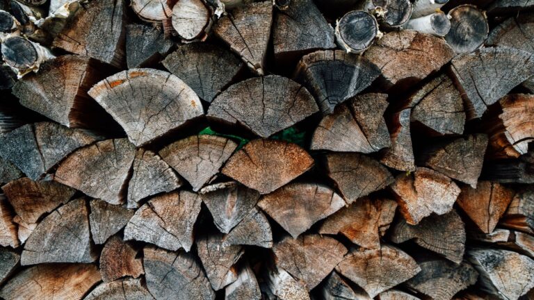 Comment calculer précisément le volume d’un stère de bois de chauffage ?
